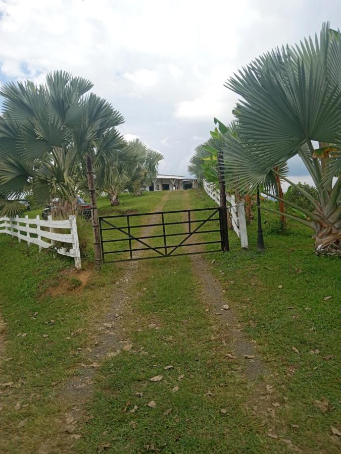 Rancho De Juancho Villa เปเรย์รา ภายนอก รูปภาพ
